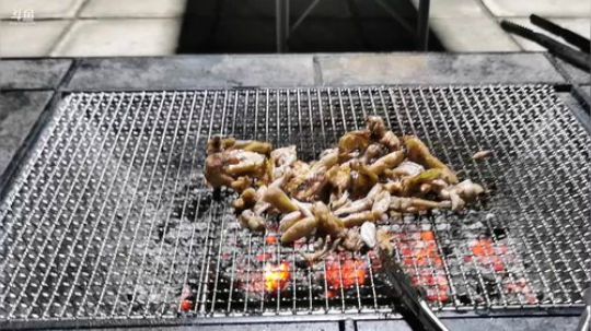 一生守护铁公鸡发布了一个斗鱼视频2019-07-27