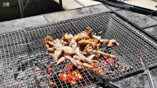 铁血丶苟且君发布了一个斗鱼视频2019-07-27