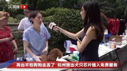 杭州推出犬只芯片植入免费服务 2019-07-27 09点场