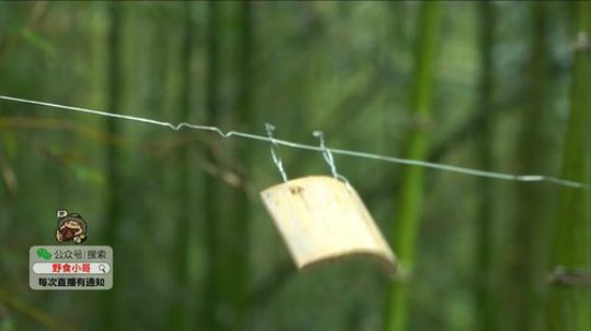 哆啦爱梦梦发布了一个斗鱼视频2019-07-27