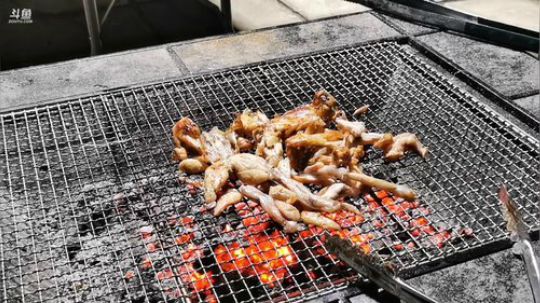 铁血丶苟且君发布了一个斗鱼视频2019-07-27