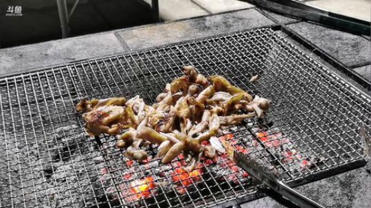 一生守护铁公鸡发布了一个斗鱼视频2019-07-27