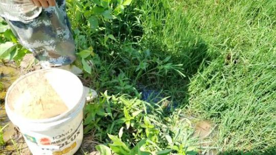 快乐打野每一天 2019-07-26 09点场