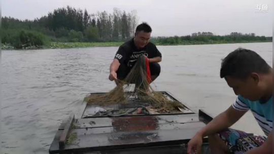 科头溜子发布了一个斗鱼视频2019-07-28