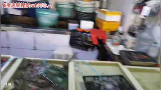 龙马精神丶老狼哥发布了一个斗鱼视频2019-07-28