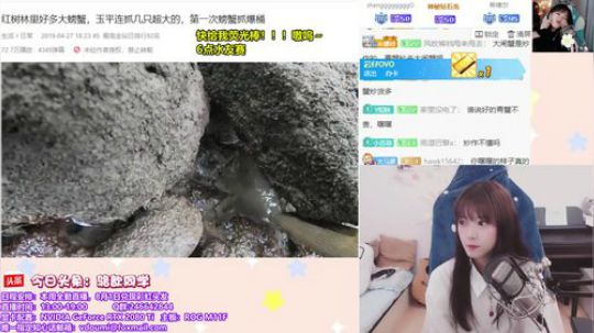 骆歆：啾啾啾 2019-07-28 16点场