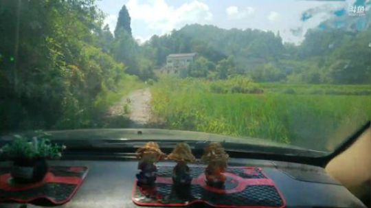 钓甲鱼咯摸鱼鱼咯 2019-07-29 14点场