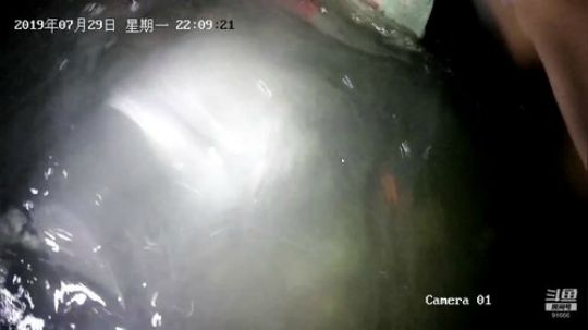 水下镜头来了来了 2019-07-29 21点场