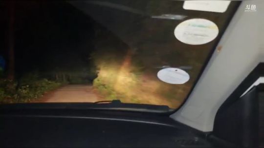 水下镜头来了来了 2019-07-29 22点场