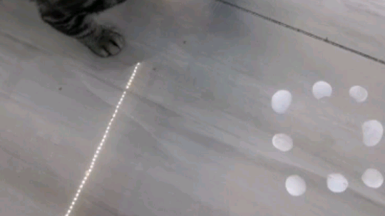 塔达林的死亡舰队发布了一个斗鱼视频2019-07-29