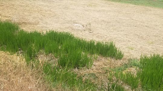 想老提鞋了2