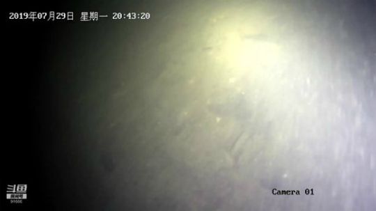 水下镜头来了来了 2019-07-29 19点场