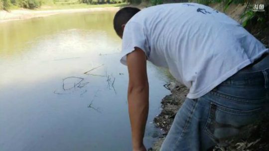 哆啦爱梦梦发布了一个斗鱼视频2019-07-29