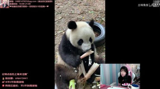 藤一的小幸运发布了一个斗鱼视频2019-07-30