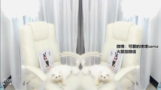 我在斗鱼看可爱的埋埋直播舞蹈