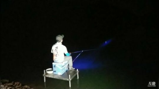 黄沙水库夜钓 2019-07-29 21点场