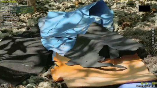 户外遛狗王飞哥发布了一个斗鱼视频2019-07-30