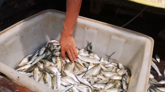 科头溜子发布了一个斗鱼视频2019-07-30