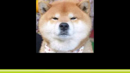 把?放进冰箱 凉爽凉爽