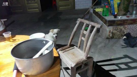 水下镜头来了来了 2019-07-29 22点场