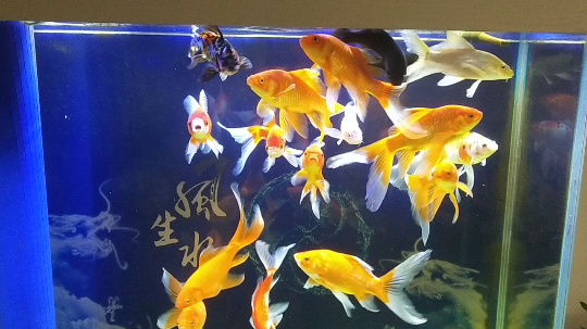 去了更好的地方