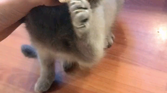 说点什么好