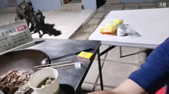 我在斗鱼看无尽无尽的无尽直播美食