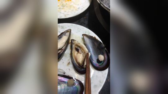 睥睨丨昱老湿丷发布了一个斗鱼视频2019-08-01
