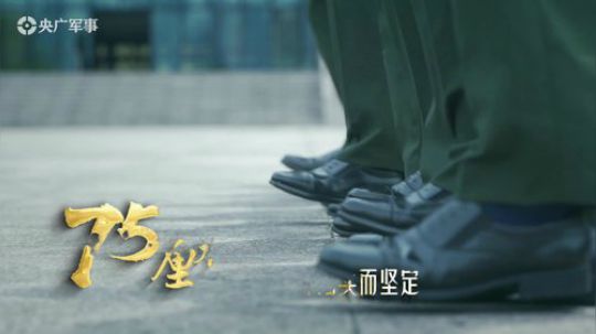在这些数字里读懂中国军人