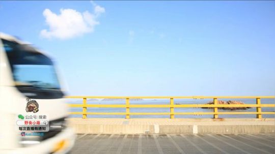 哆啦爱梦梦发布了一个斗鱼视频2019-08-01