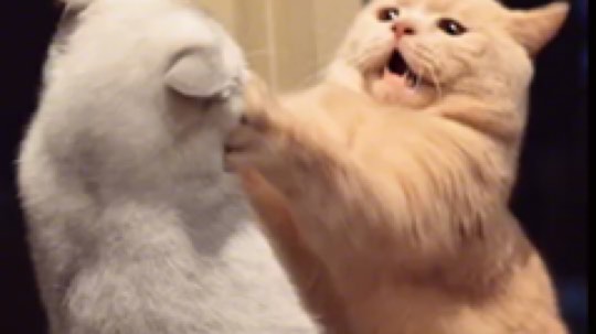 嗯？是不是你？