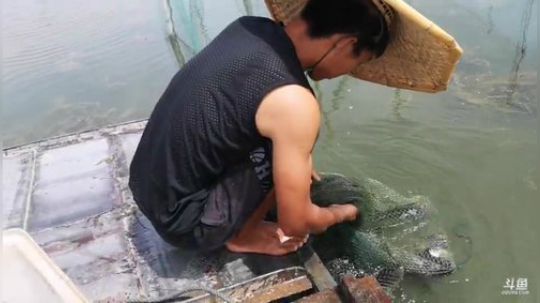 科头溜子发布了一个斗鱼视频2019-08-02