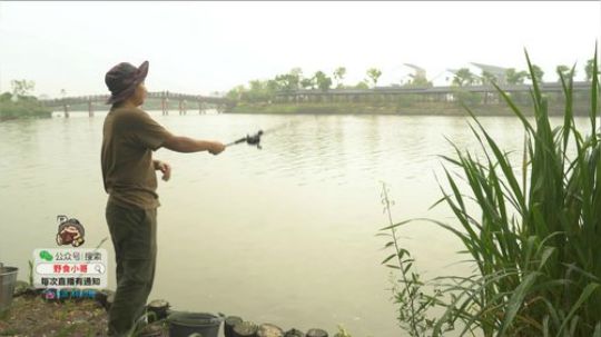 哆啦爱梦梦发布了一个斗鱼视频2019-08-03