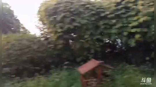 回家