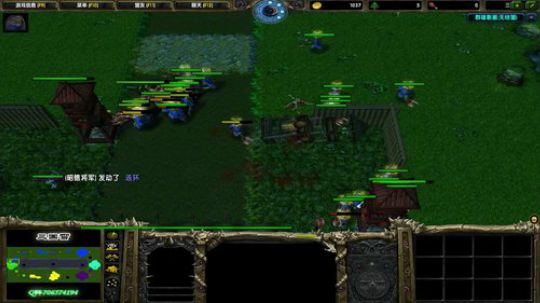 龙井碧螺春铁观音毛尖大红袍 2019-08-02 17点场