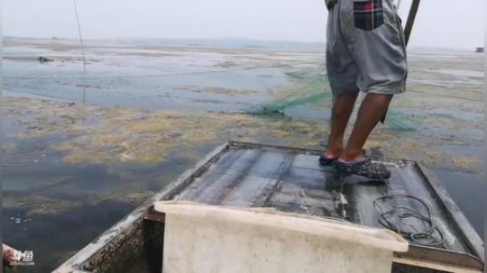 科头溜子发布了一个斗鱼视频2019-08-03