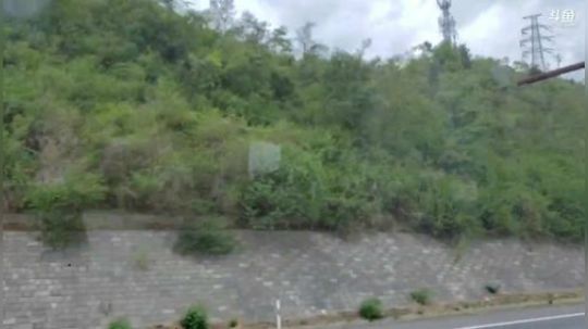 挑战不说话直播2天 2019-08-03 11点场