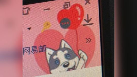 狗一定很爱你~
