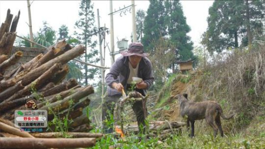 我在斗鱼看野食小哥直播美食
