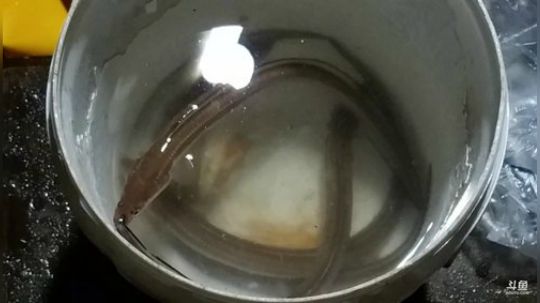 风里雨里，海钓走起~ 2019-08-03 22点场
