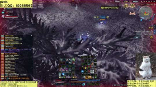 神策跨服。 2019-08-04 00点场