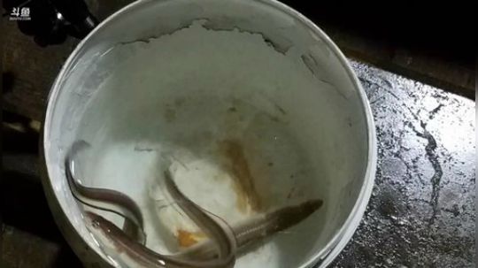 风里雨里，海钓走起~ 2019-08-04 02点场