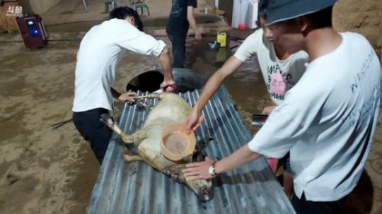 到小家琪家过火把节(≧ω≦)/ 2019-07-25 20点场