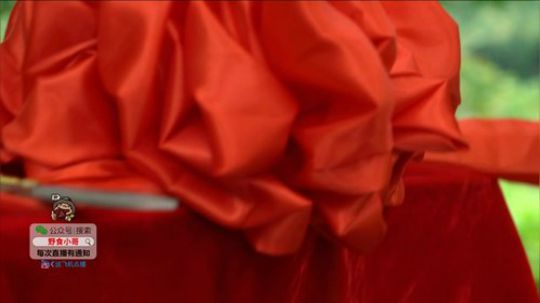 哆啦爱梦梦发布了一个斗鱼视频2019-08-04