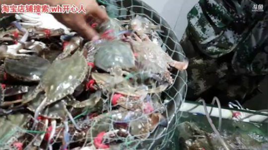 西北老狼哥哥发布了一个斗鱼视频2019-08-05