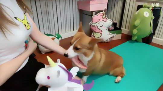 火轮星丶瓜小皮发布了一个斗鱼视频2019-08-05
