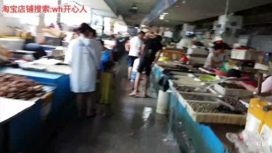 西北老狼哥哥发布了一个斗鱼视频2019-08-05