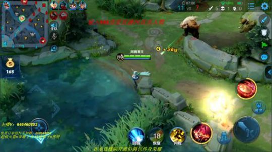 国服公孙离  单排王者局 2019-08-05 08点场