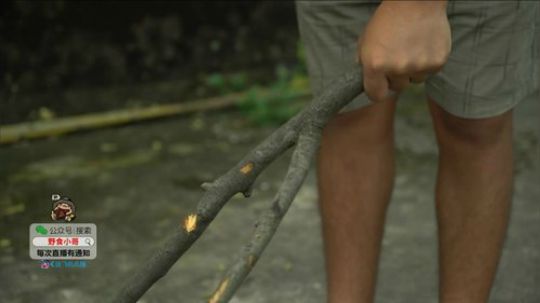 我在斗鱼看野食小哥直播美食