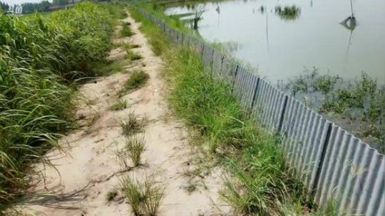 洪湖小肖	直播间 2019-08-06 09点场